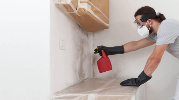 Professional Basement Mold Remediation technician working in Barnesville, MN