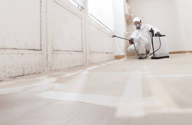 24/7 Emergency Basement Mold Remediation experts in Barnesville, MN